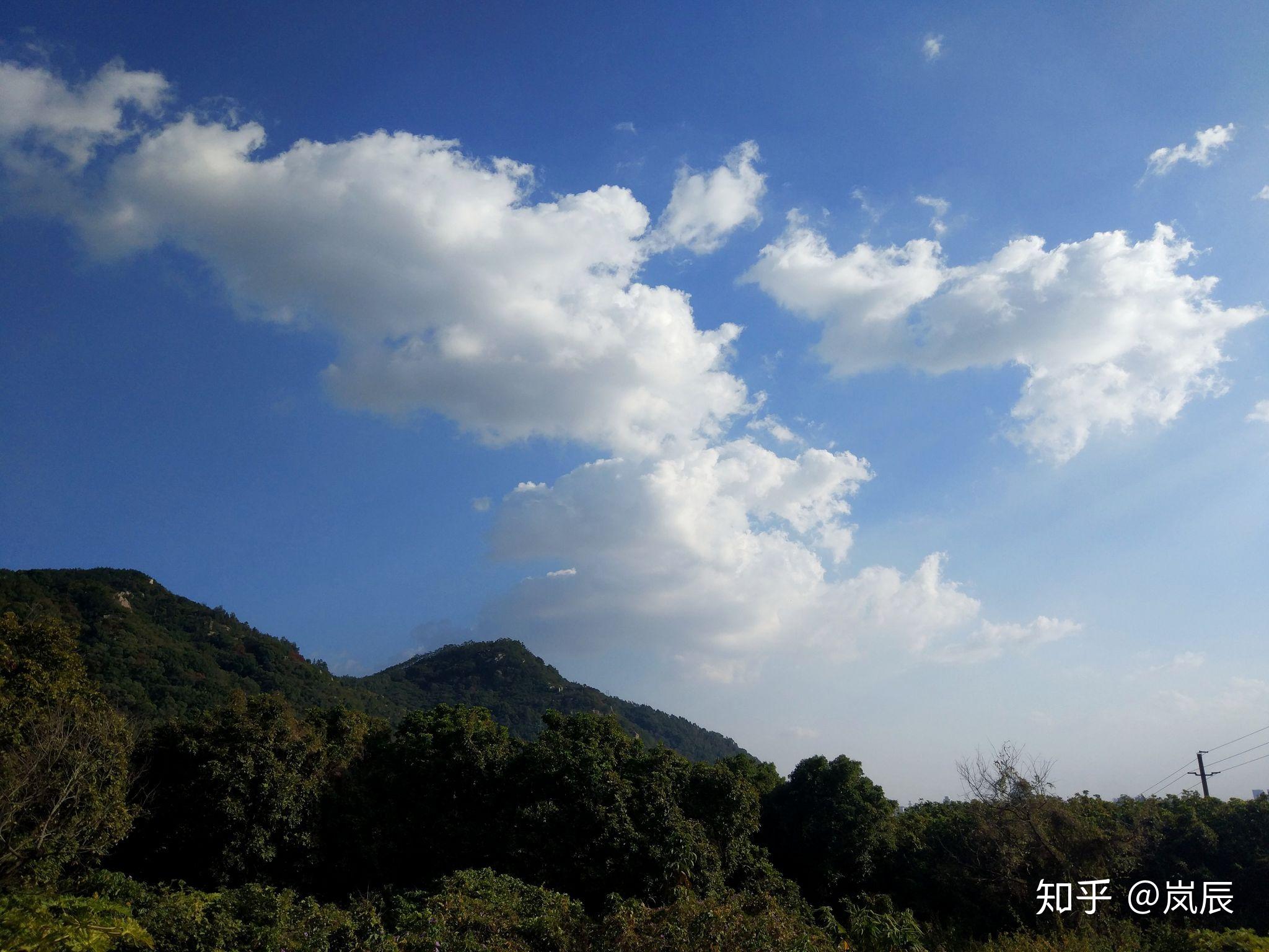 有没有平淡生活中偶然拍到的美图? - 知乎