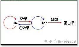 v2-f4405fcc3d6a2bebf29618e4eff772e2_b.jpg