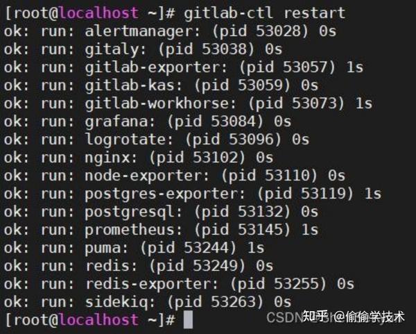 V10SP2 GitLab DevOps v10sp2-gitlab-devops