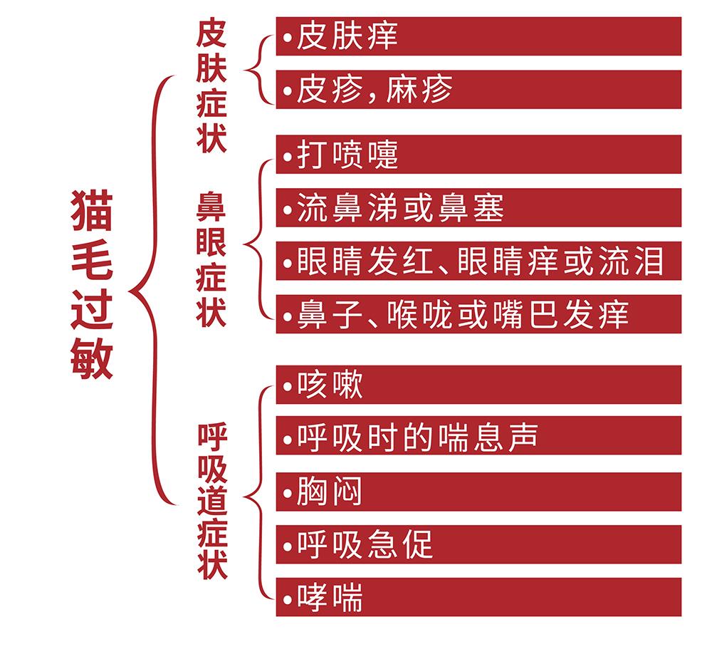 猫毛过敏主要有哪些症状?该怎么办?看完这些全了解!