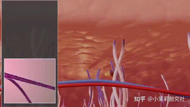 微针VS黄金微针VS相控微针怎么选?千万别选错啦! - 知乎