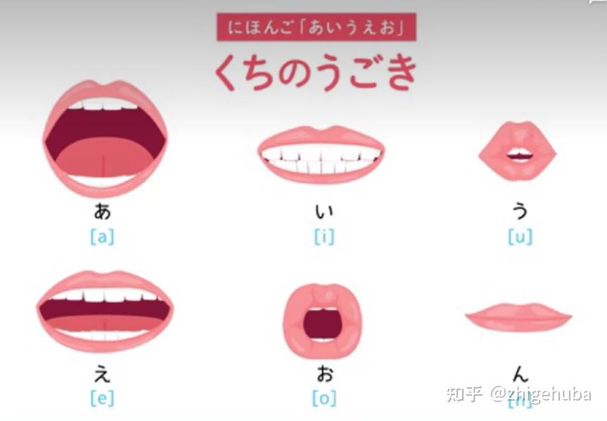 日语学习(02)日本语的发音之元音 - 知乎