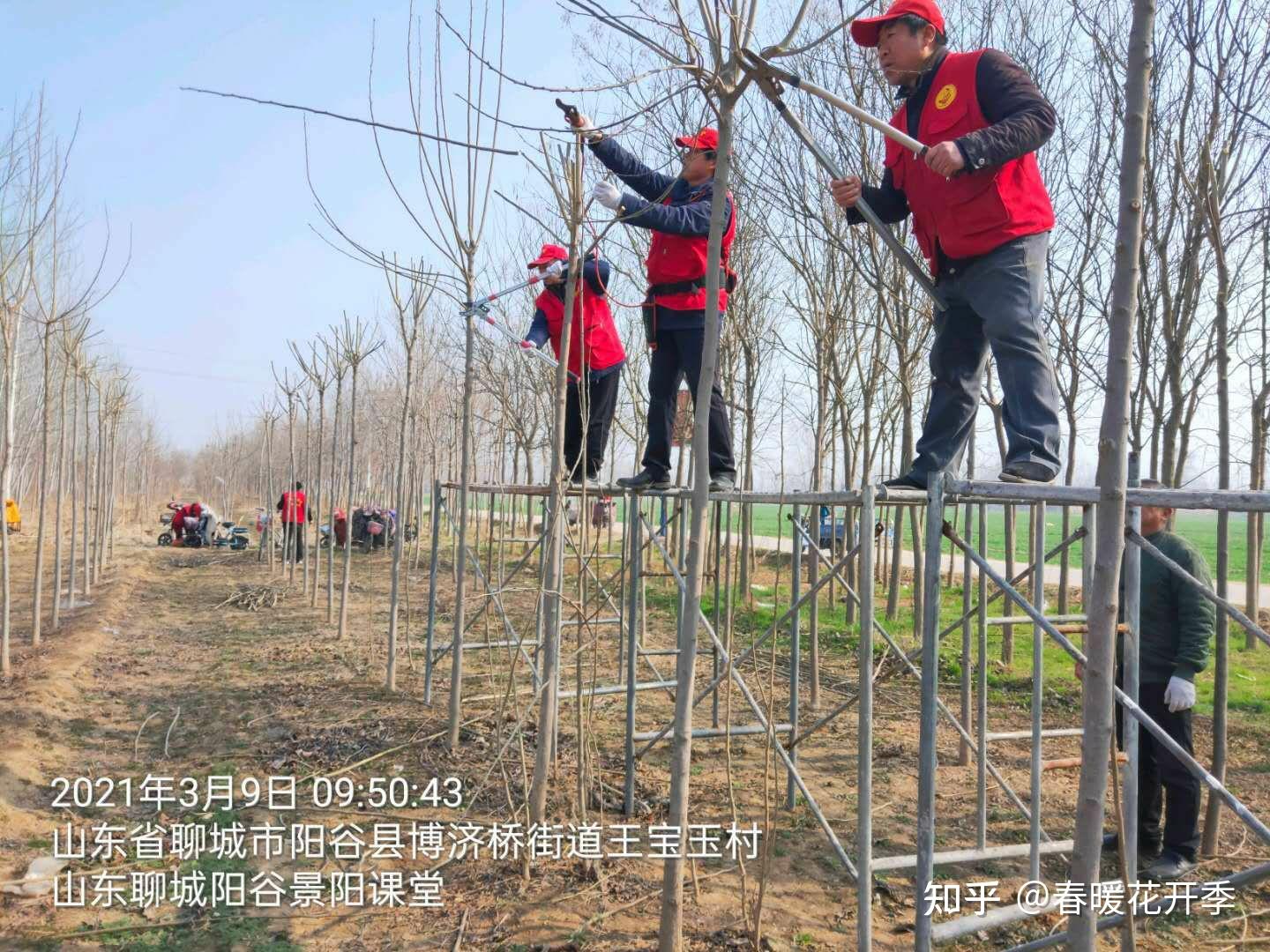 2021年3月9日,东望志愿者山东阳谷景阳课堂一行17人,应李楼村民魏成亮