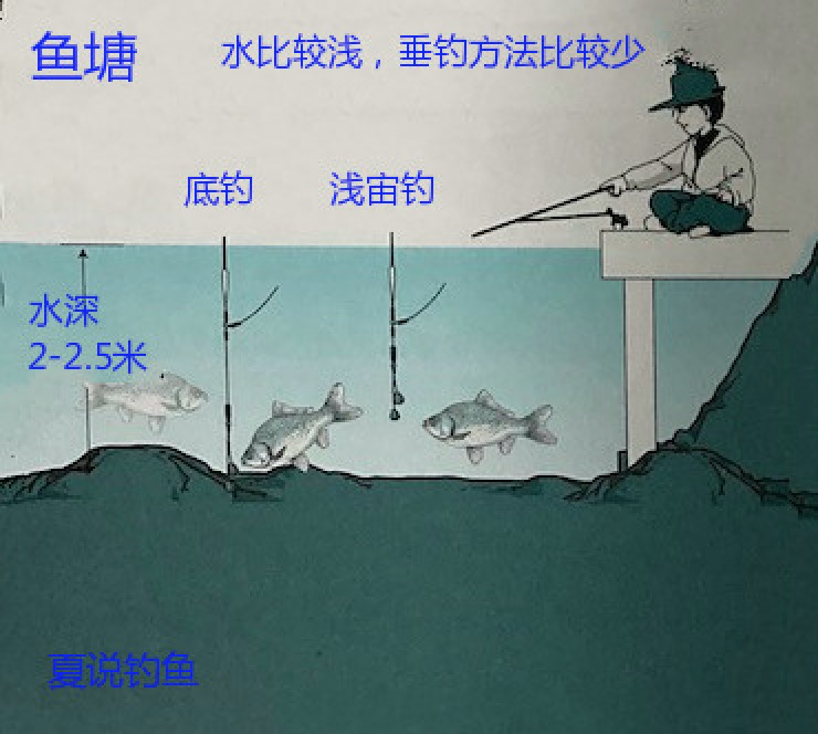 鲫鱼钓日本鲫鱼的习性和垂钓方法非常值得借鉴钓法