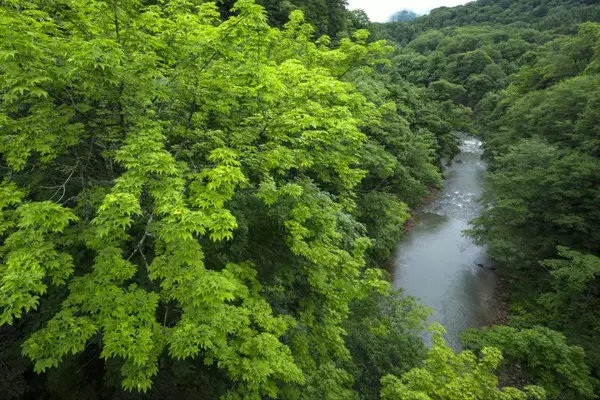 18年日本绝景盘点 东北篇 知乎