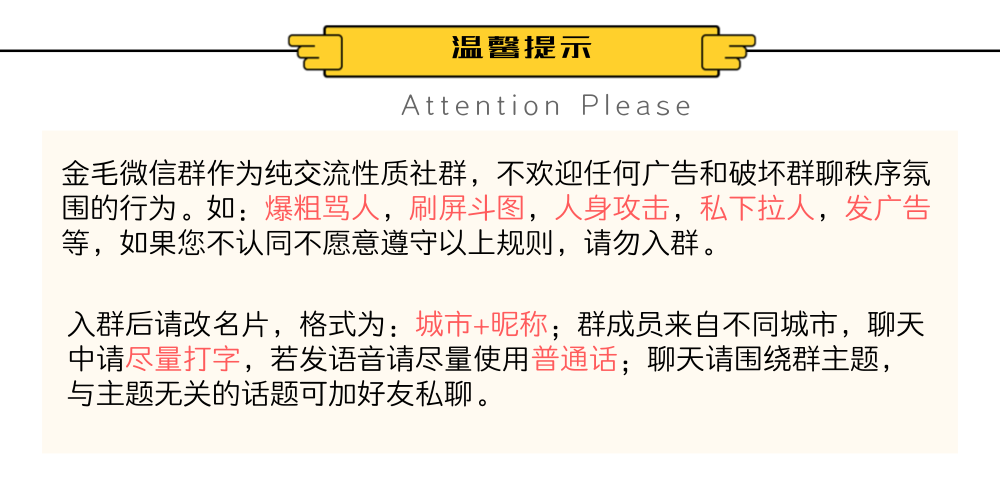 新手养金毛要注意哪些问题,养金毛前必读
