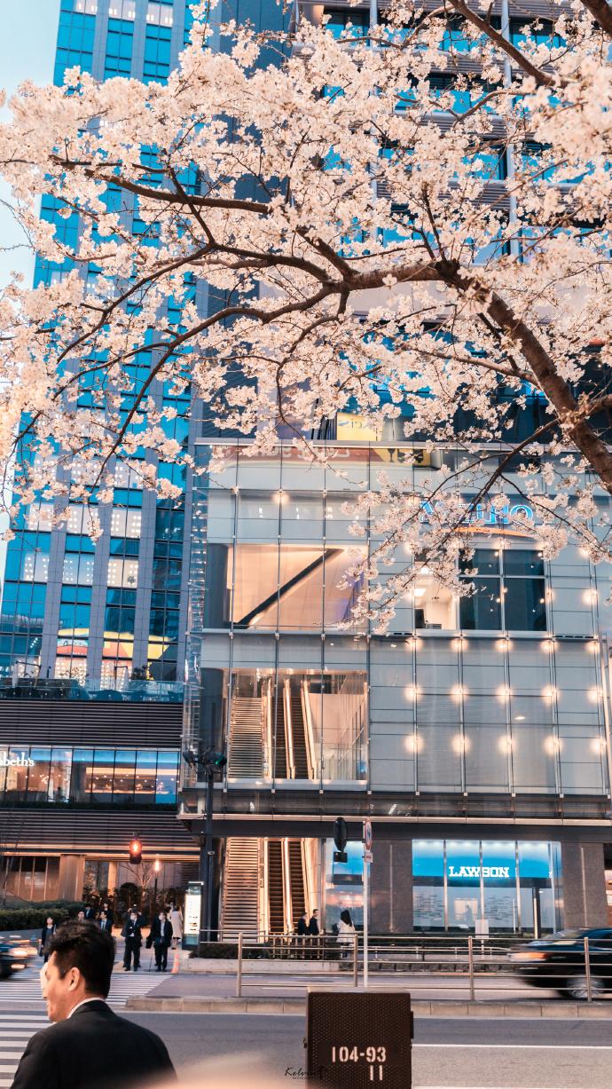 东京站八重洲口