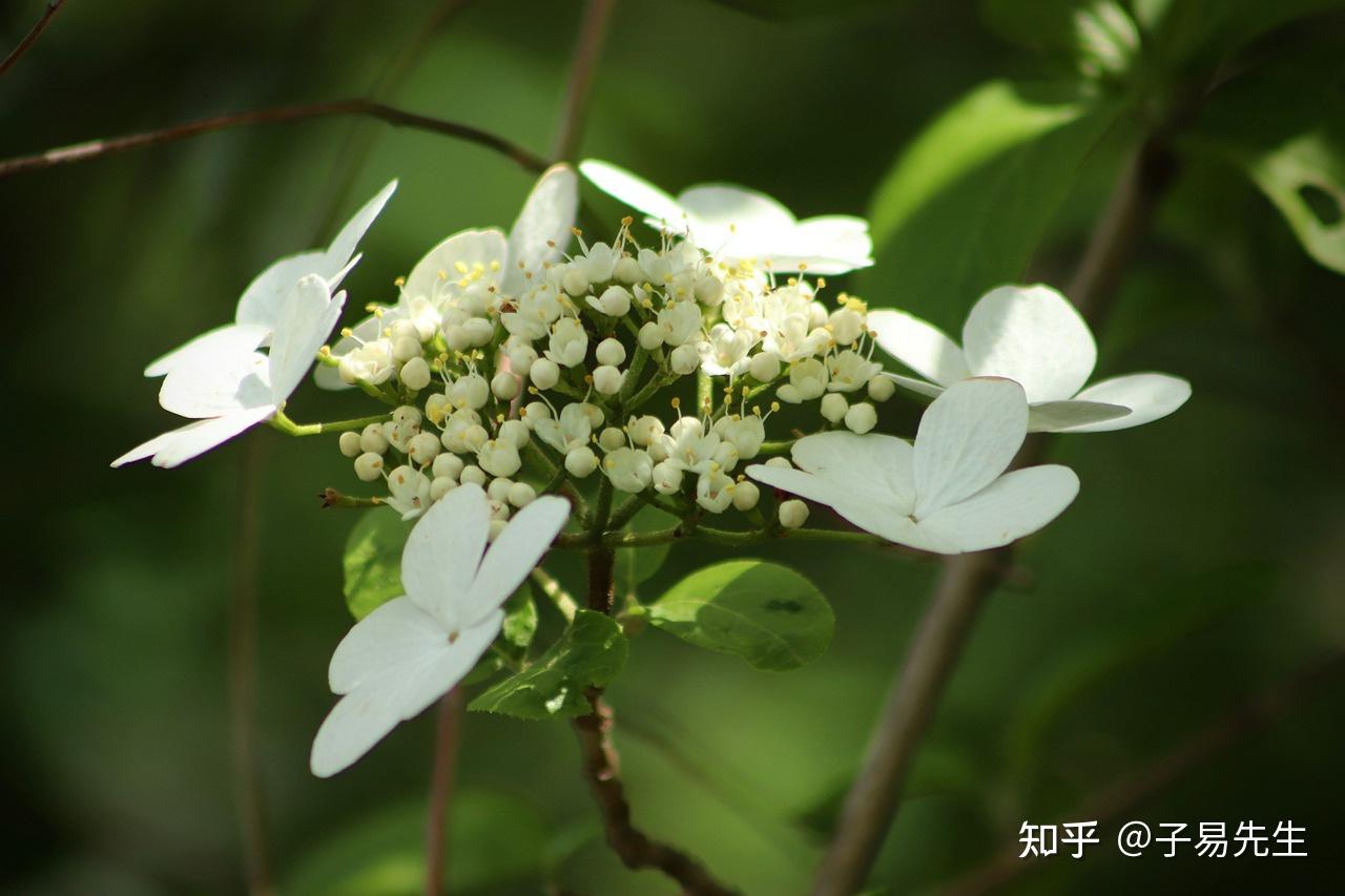 八字纯阴有什么特点,如何化解?