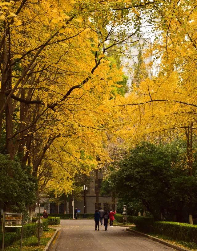 南京大学的建筑考研难度有多大? - 李大宝天天