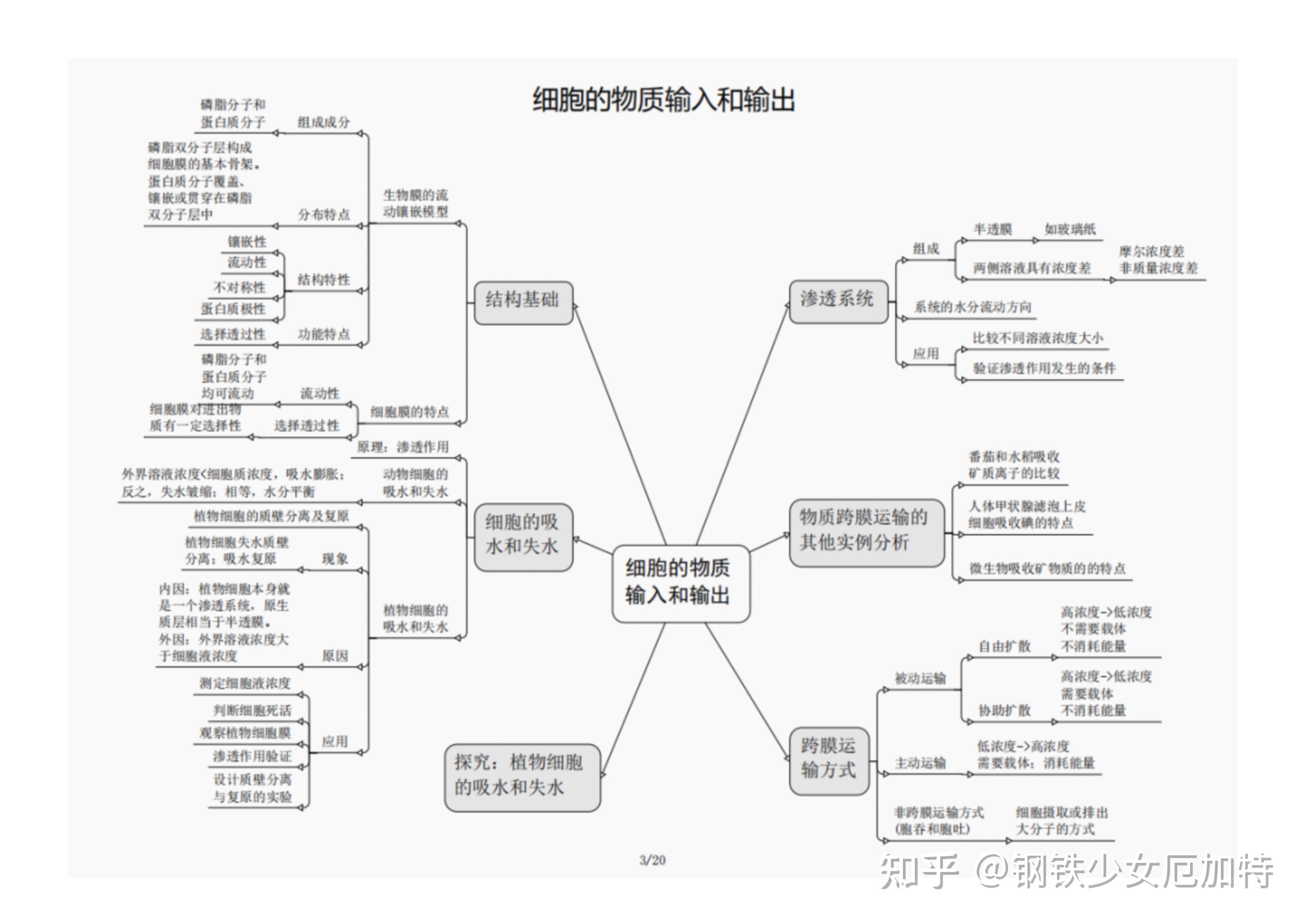 高中生物每章思维导图图片