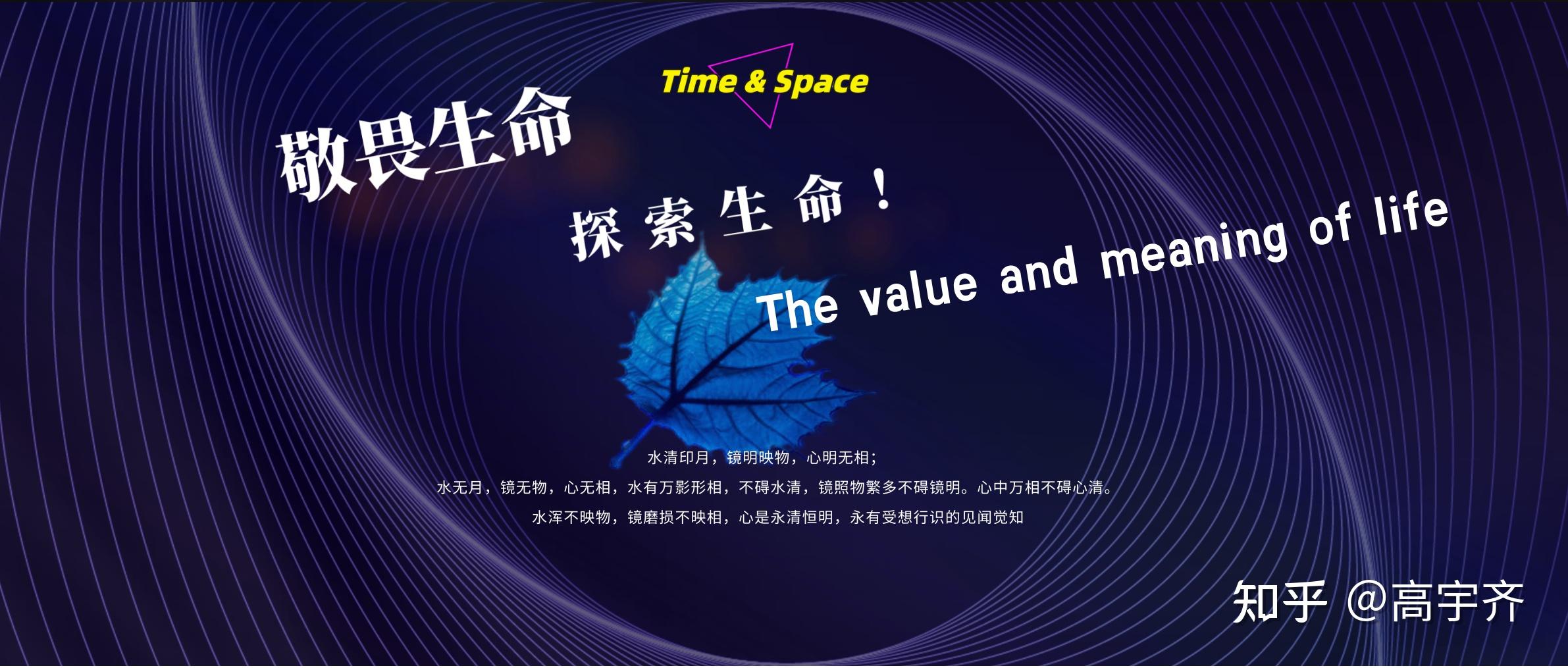 认知生命的意义探索生命的价值