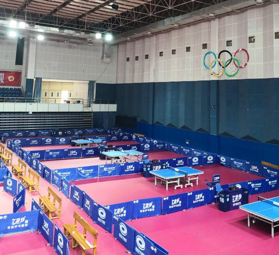 主场球馆将迎来科技升级观赛体验全面革新在即