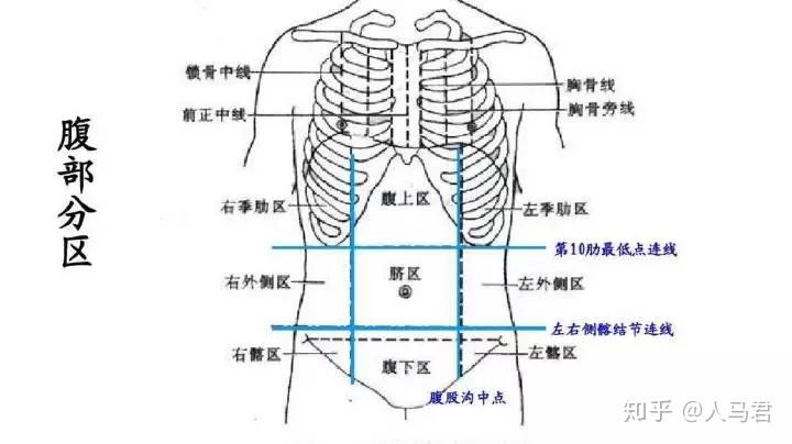 重心近端效应中立位站立时,腹部最靠近重心位置,而脂肪的堆积以人体