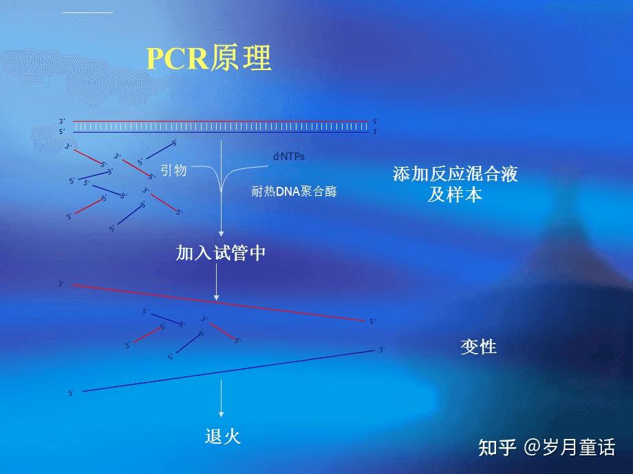 纯干货:目的基因PCR扩增——构载体第一步 - 知乎