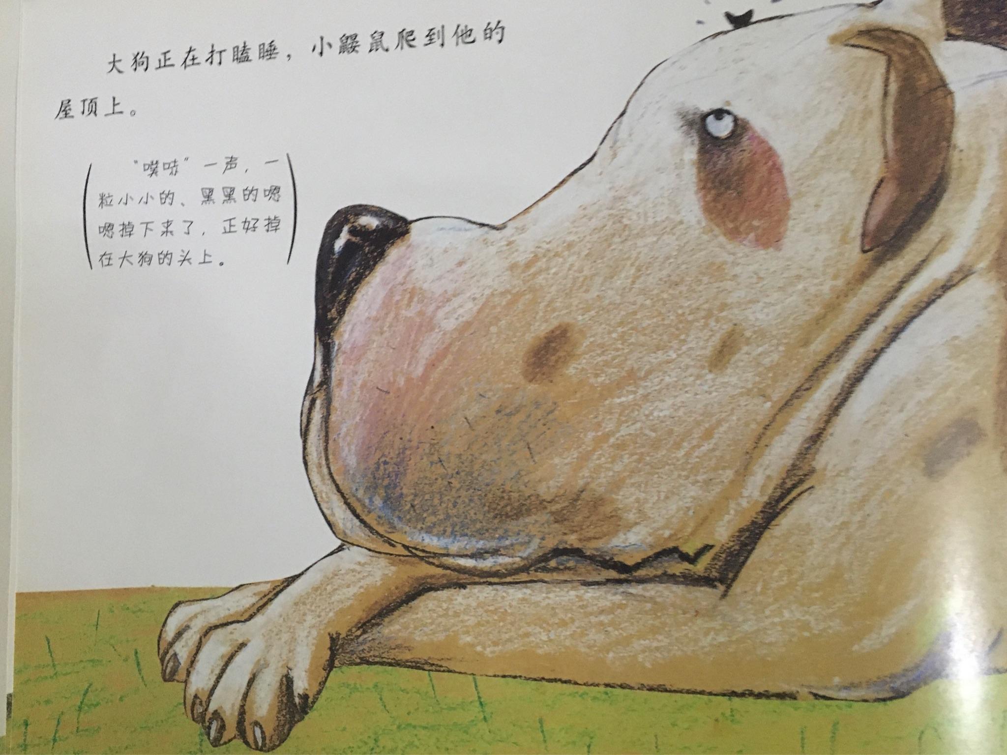 在家早教上小步绘本精读是谁嗯嗯在我的头上