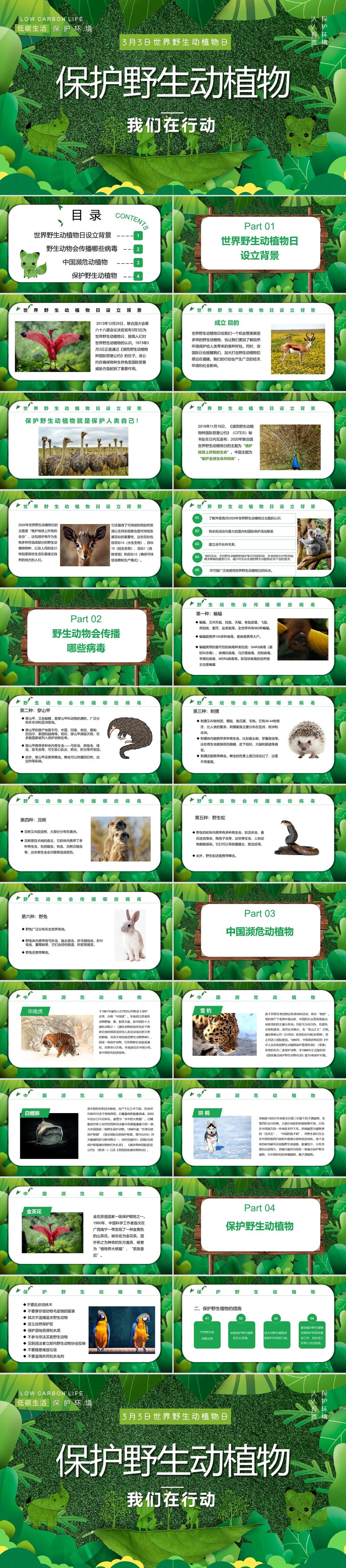 2022保护野生动植物ppt卡通简约风世界野生动植物日知识介绍课件模板