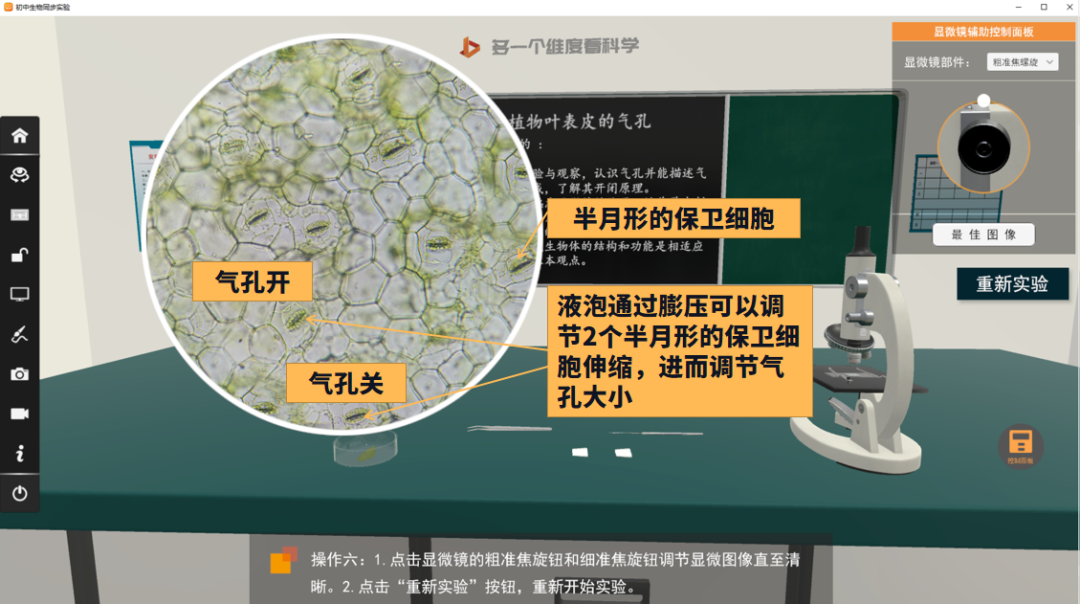 【高中生物】液泡知识大全，虚拟仿真资源自取！ - 知乎