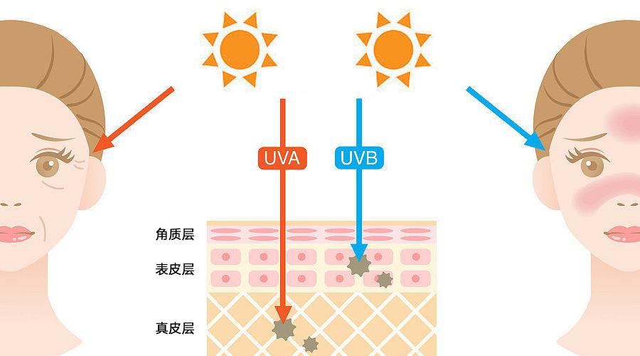 紫外线为什么会被叫做“衰老加速器”？ - 知乎