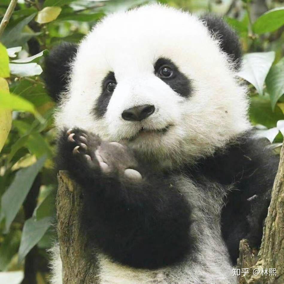 有没有一眼就很舒适的微信头像