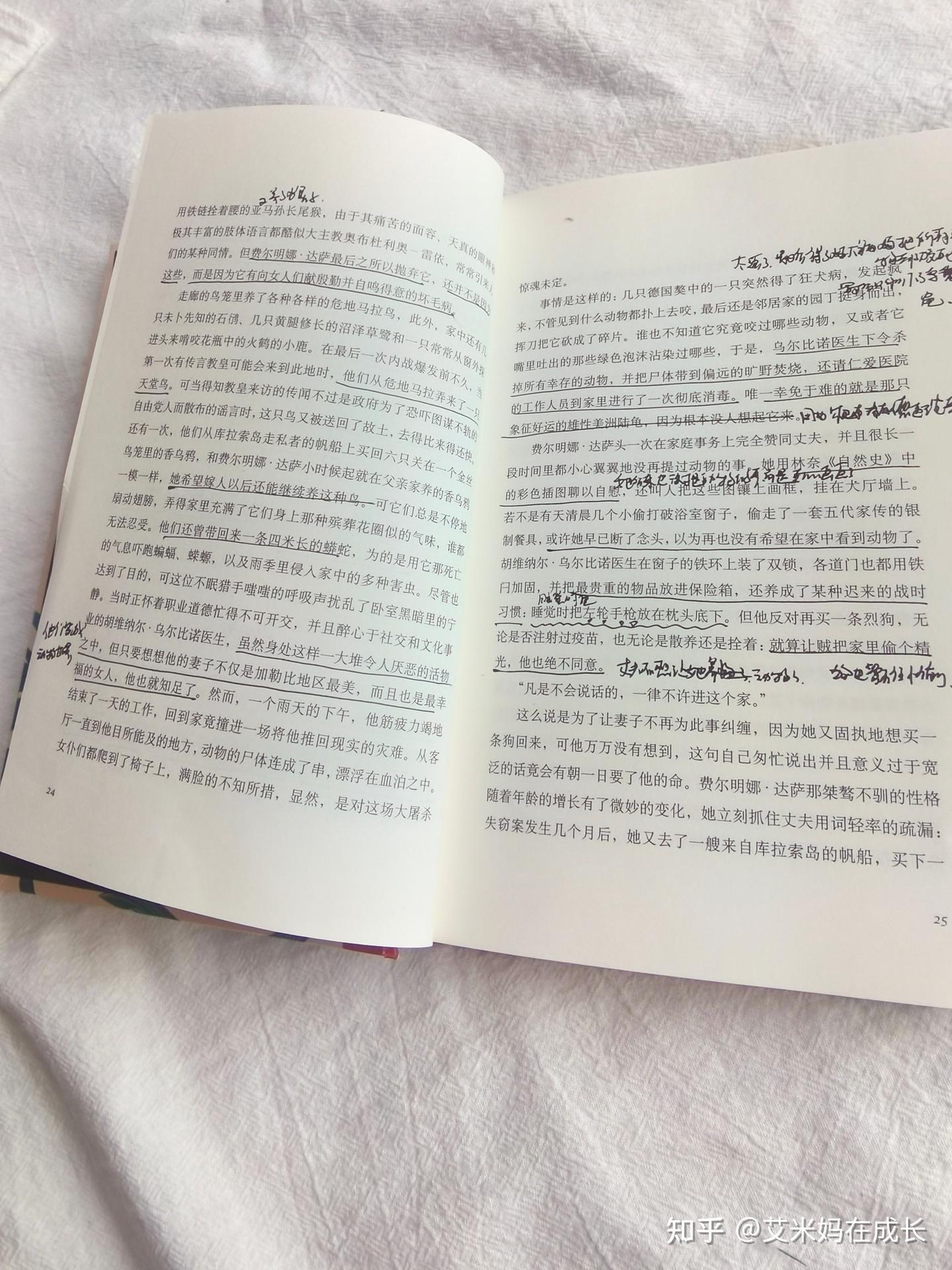 你似乎来到了没有知识存在的荒原 - 知乎