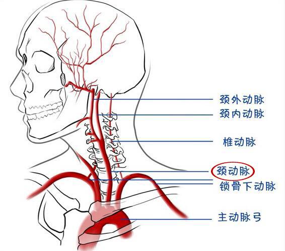 v2-f4e672f672f3b106de2d5e09e442c430_1440w.jpg?source=172ae18b