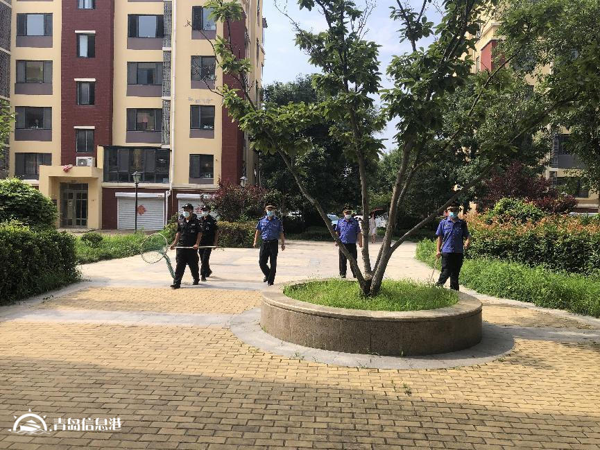 践行“721”工作法 促使文明养犬工作有效提升 - 知乎