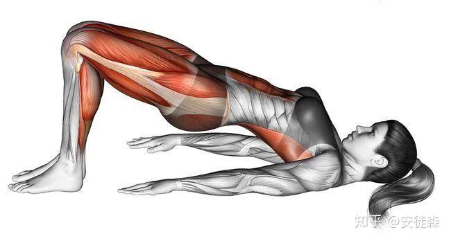 桥式lying hip raises