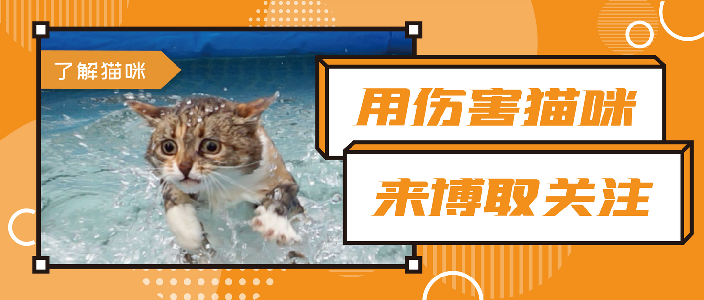 v2-f51cfca9578a9f6a4c8e0303df1f9850_1440w.jpg?source=172ae18b