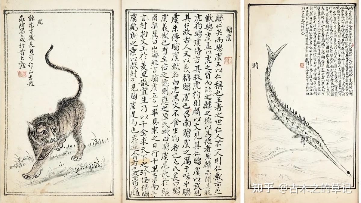 浅析宋代的“鸟兽草木之学” - 知乎