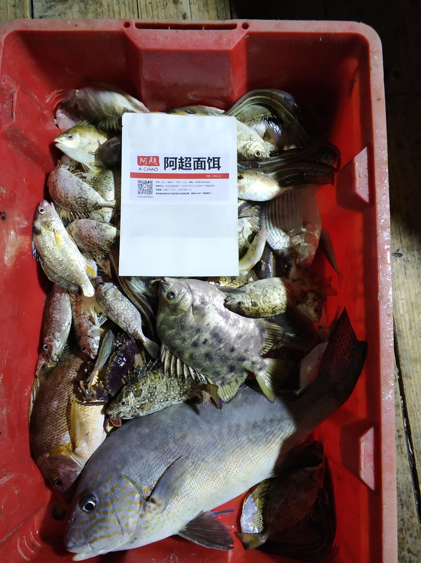 虎头门筏钓泥猛爆箱,0.1小钩干上3斤火车头 - 知乎