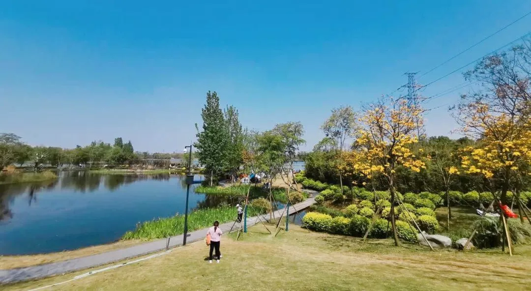 春游幸福成都乐享美好生活成华正春意盎然