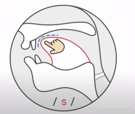 不过有个方法可以分享给大家,那就是保持/s/和/06/发音的口型舌位