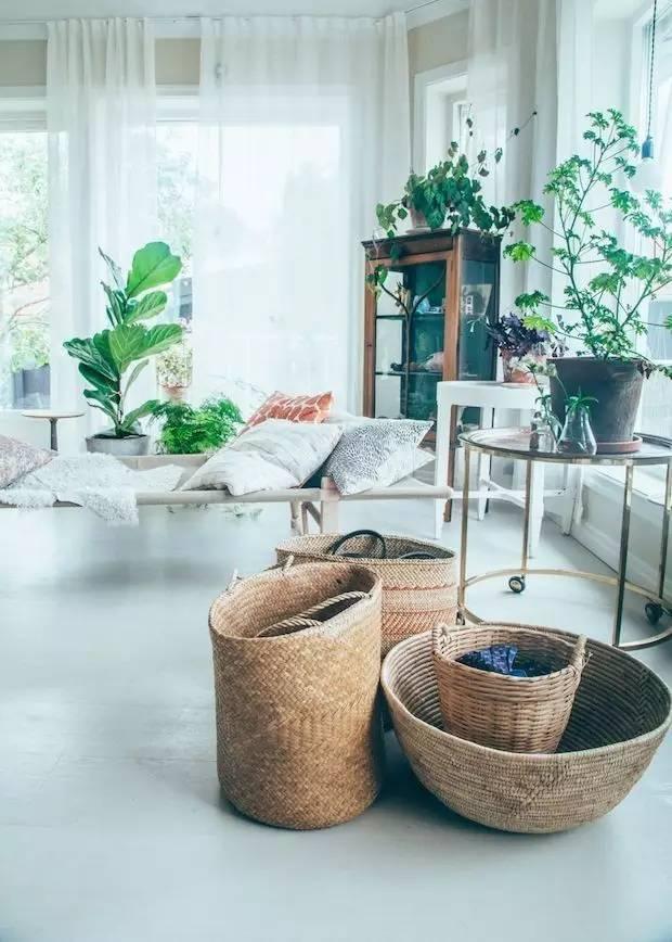 一进门摆什么绿植最好 v2-f598e96c00b024f6f72cbcb2df7edcd4_r.jpg