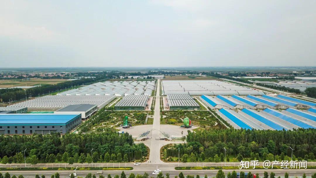 高起点开局高质量推进潍坊国家农综区乘势而上开启新征程