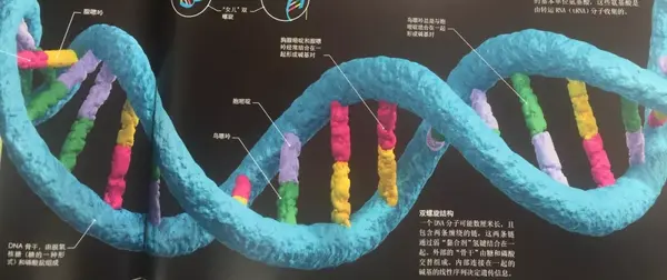 知乎专栏