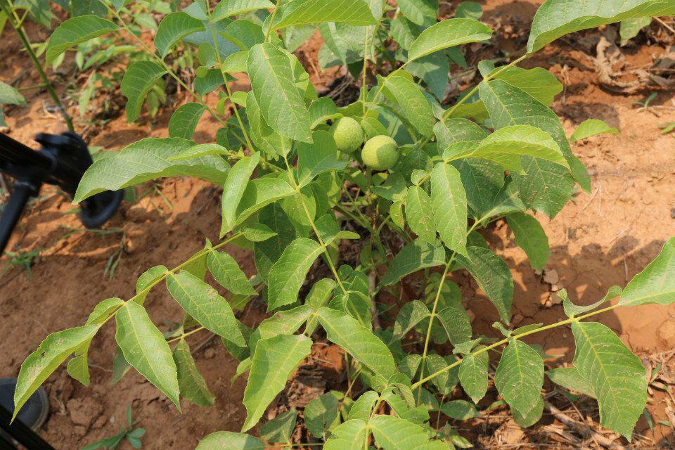 v2-f5c1988dd2abe659f892b1ab76d5af27_1440w.jpg?source=172ae18b