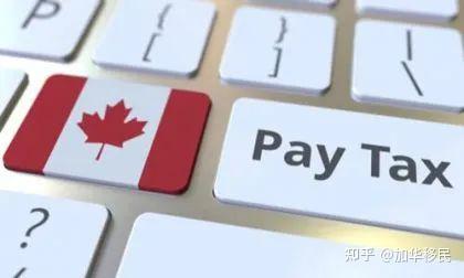 直接封神的报税软件!免费又实用!报税真的很简单 - 知乎