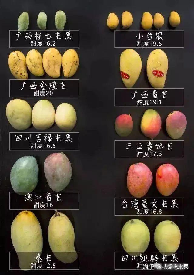 芒果品种主要产地分布、特点及上市时间(附:芒果成熟度对比色卡) - 知乎