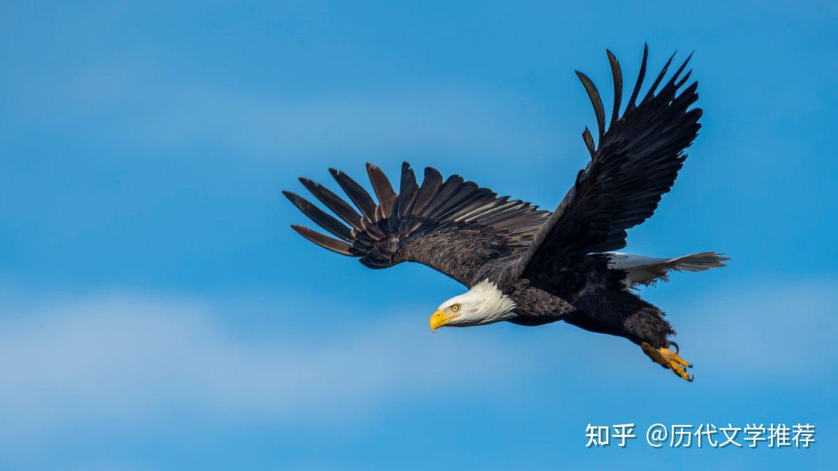 琉球陶器①双鳥(魚鷹)四言詩入白土象嵌抱瓶/②五言詩唐・于入白土象嵌抱瓶 Red Star Er Go Tou 8Yrs 红星绵柔八年陈二锅头中国酒批发价$19