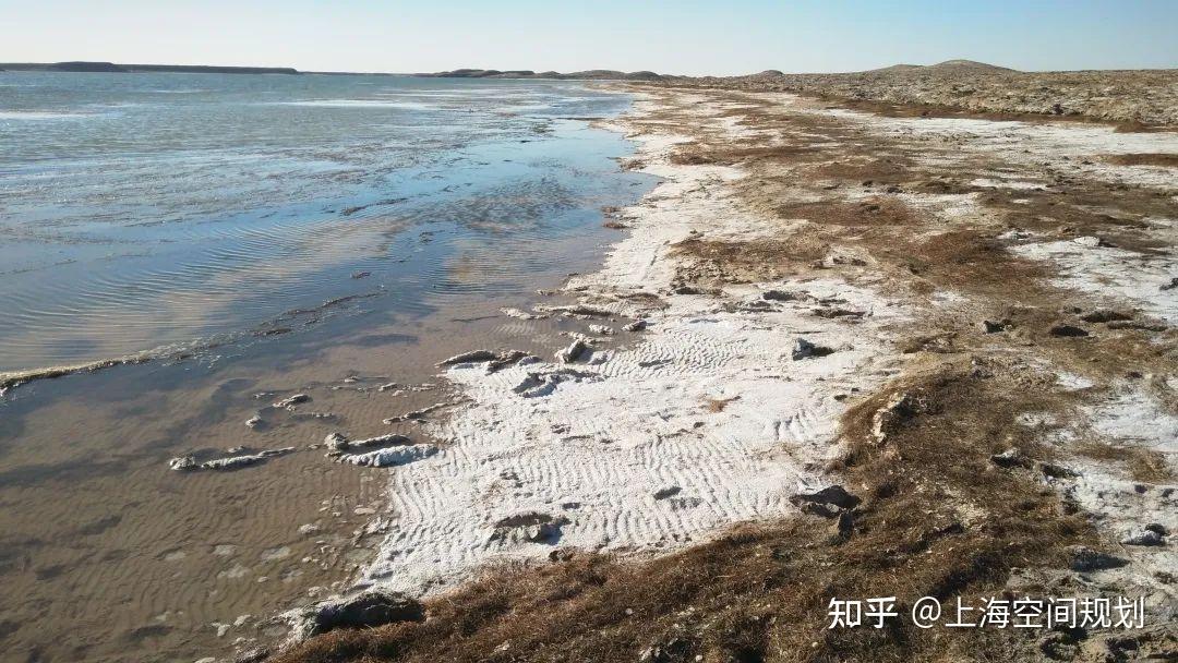 城市话题|继中国科学家重大发现后,变废为宝的盐碱地该如何规划? - 知乎