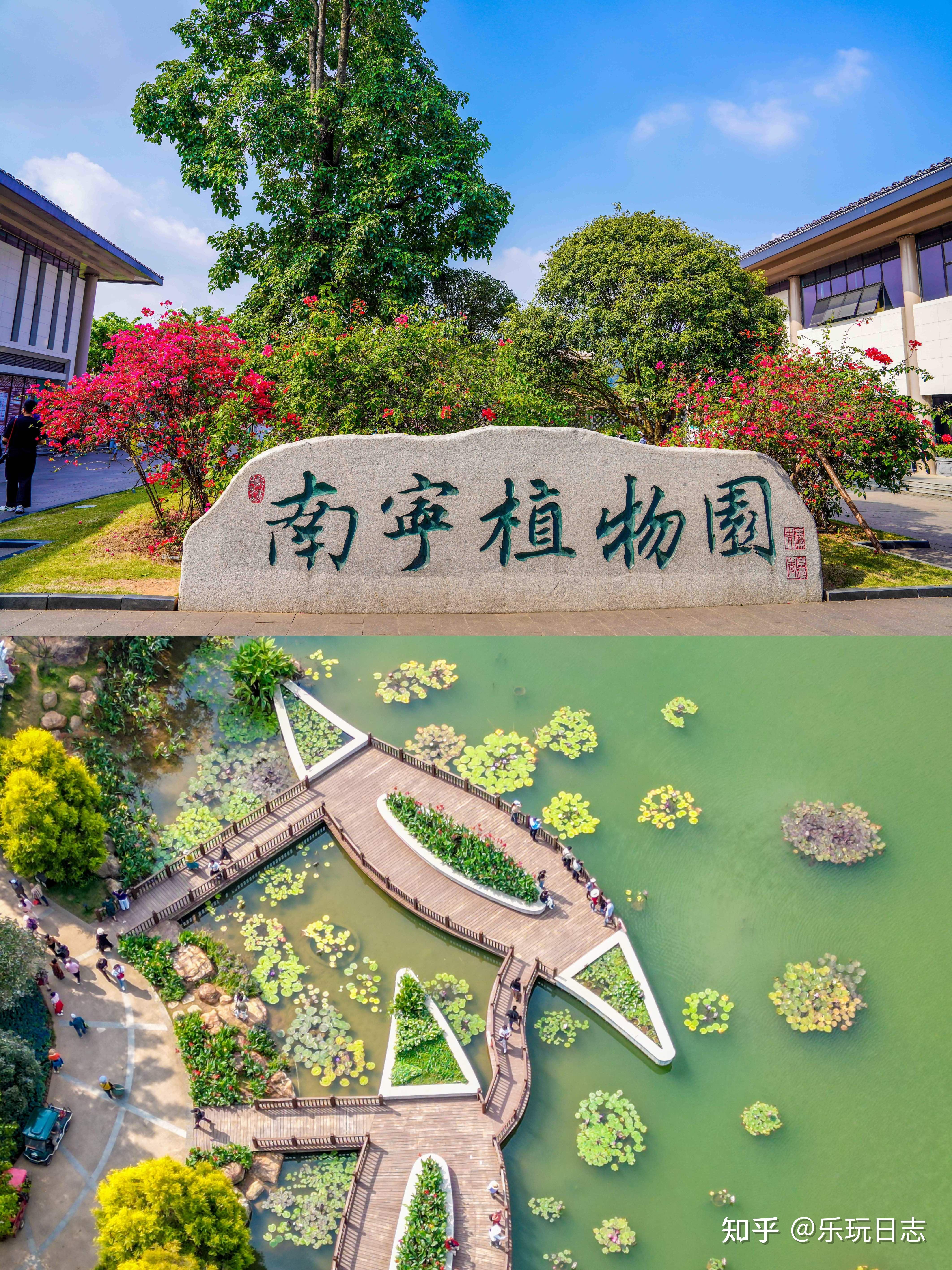 北部湾的冬天花海治愈之旅南宁青秀山