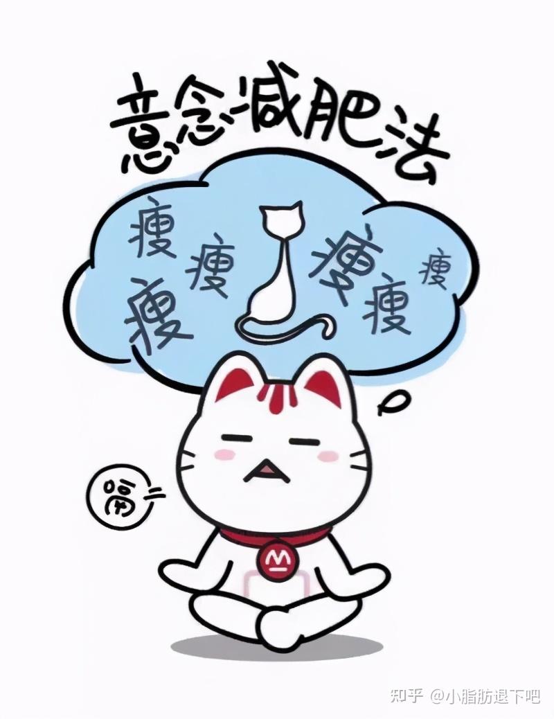 怎么减肥三十斤? - 知乎