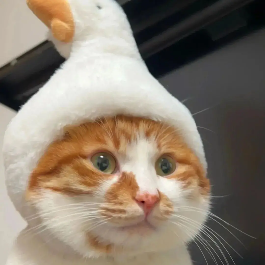 程序员YK