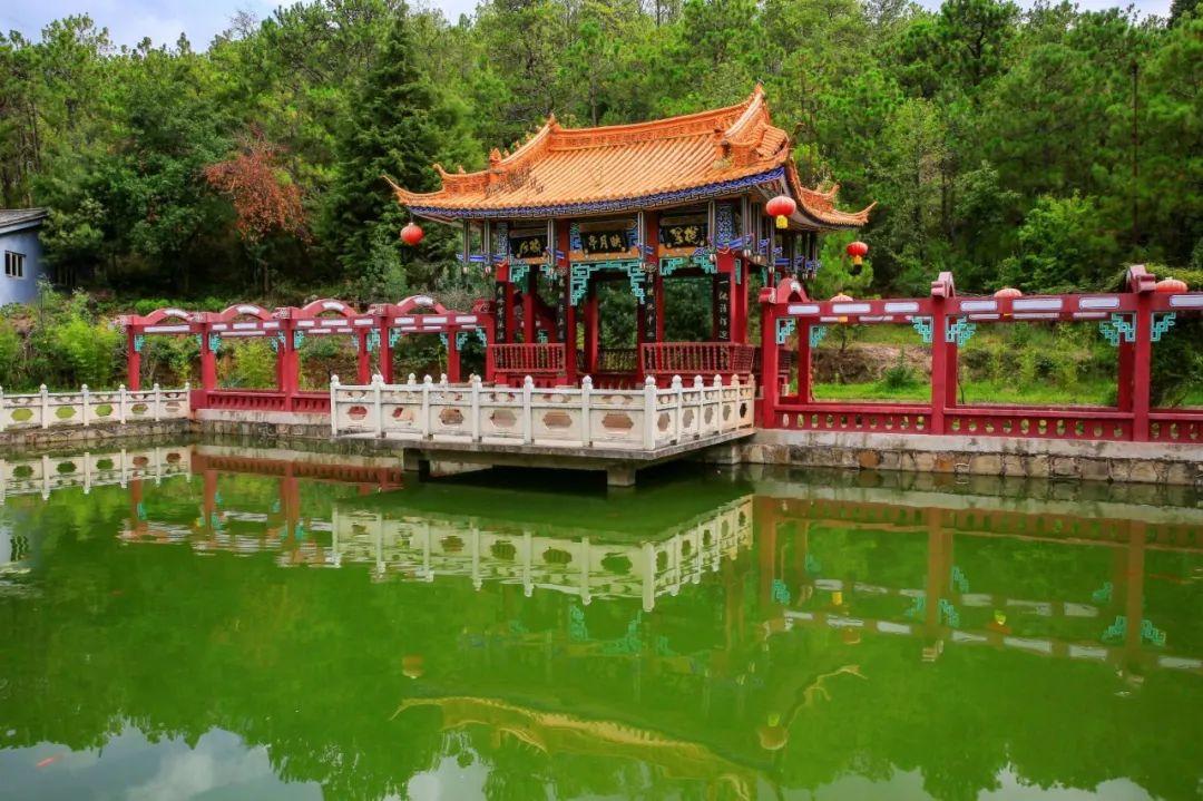 一整年26个a级景区都免票这个地方我还能再去1000次