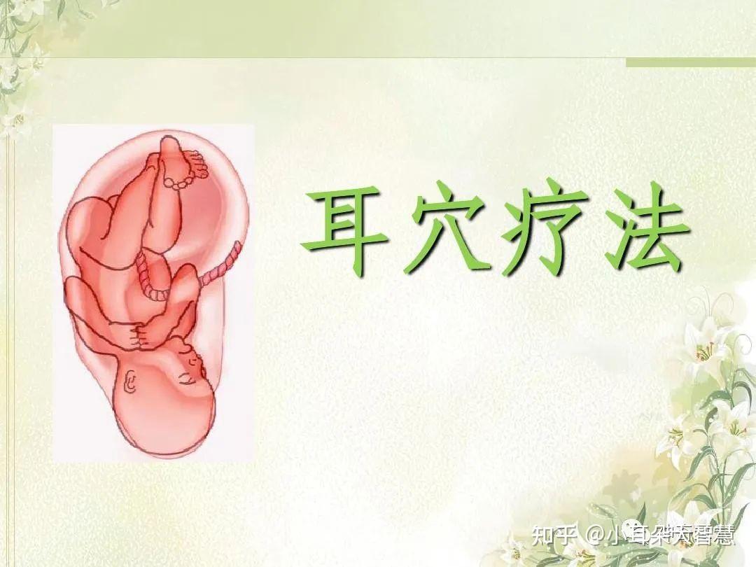 益康耳穴:人体耳朵与经络之间的关系是怎么样的? - 知乎