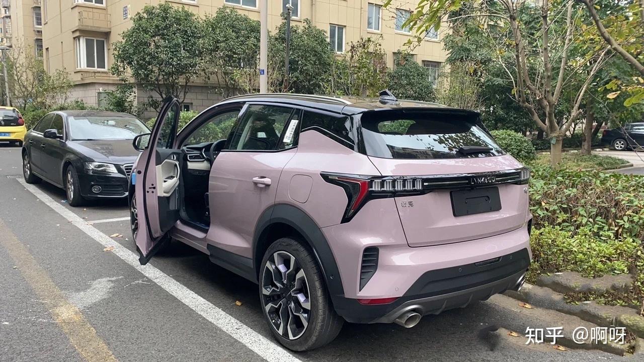 十多万拿下少女感爆棚春日浪漫冰莓粉领克06