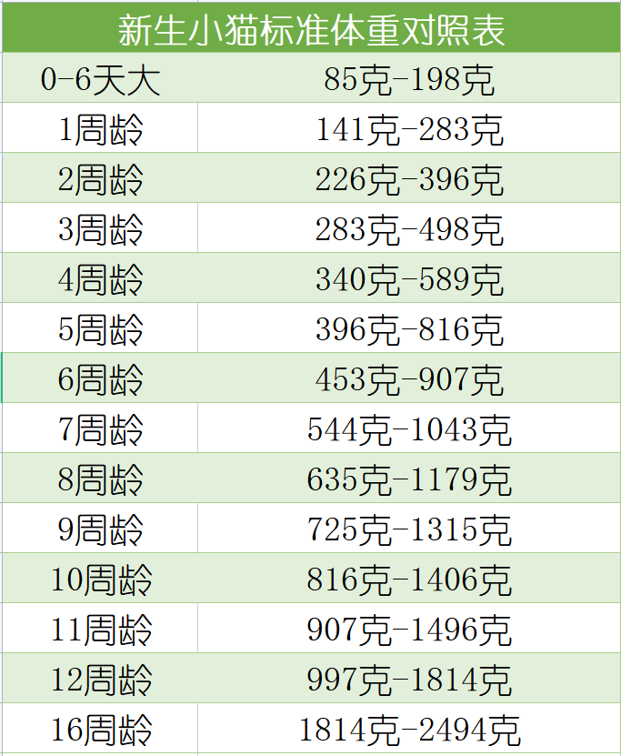 刚出生小猫体重表图片