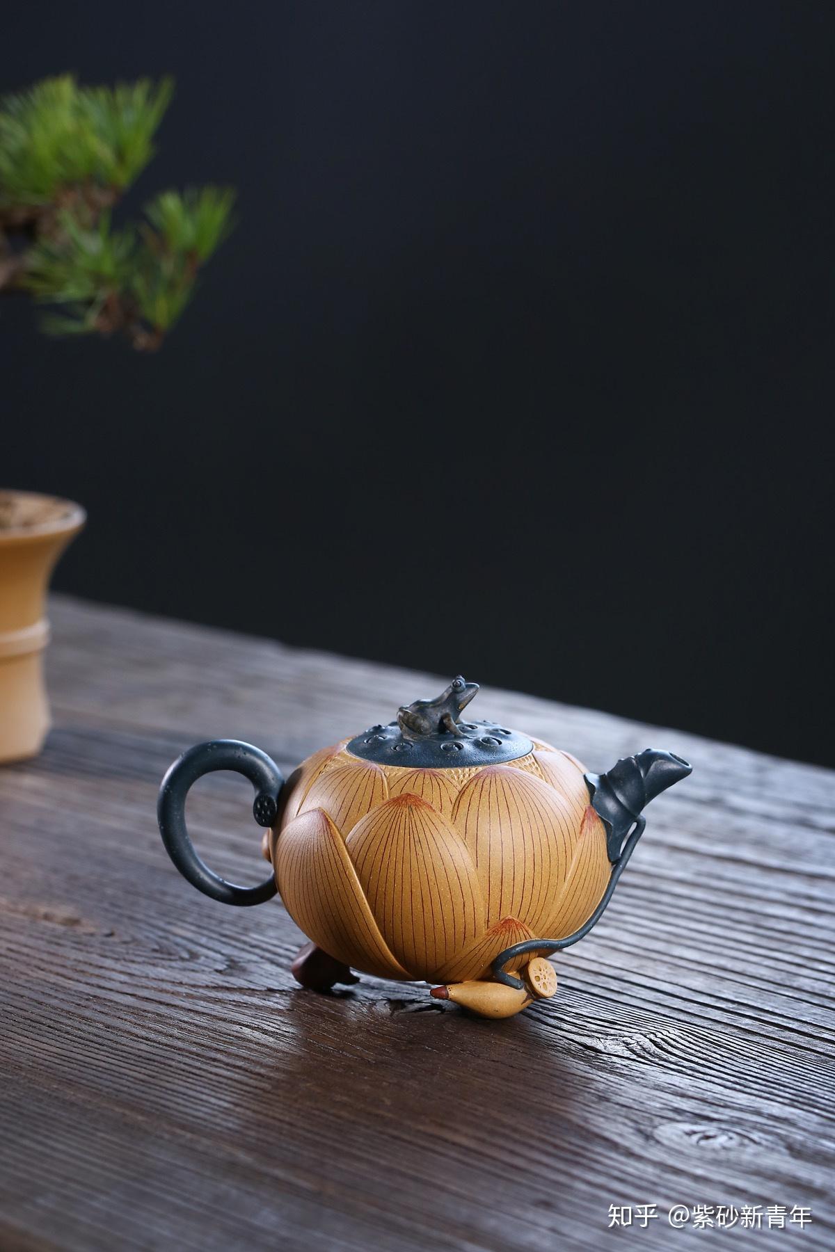 紫砂新青年2019蒋梦瑶青蛙莲心