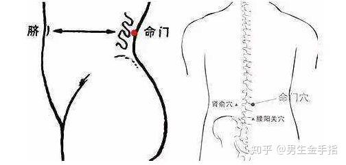 男性多按摩幾個穴位能延時房事