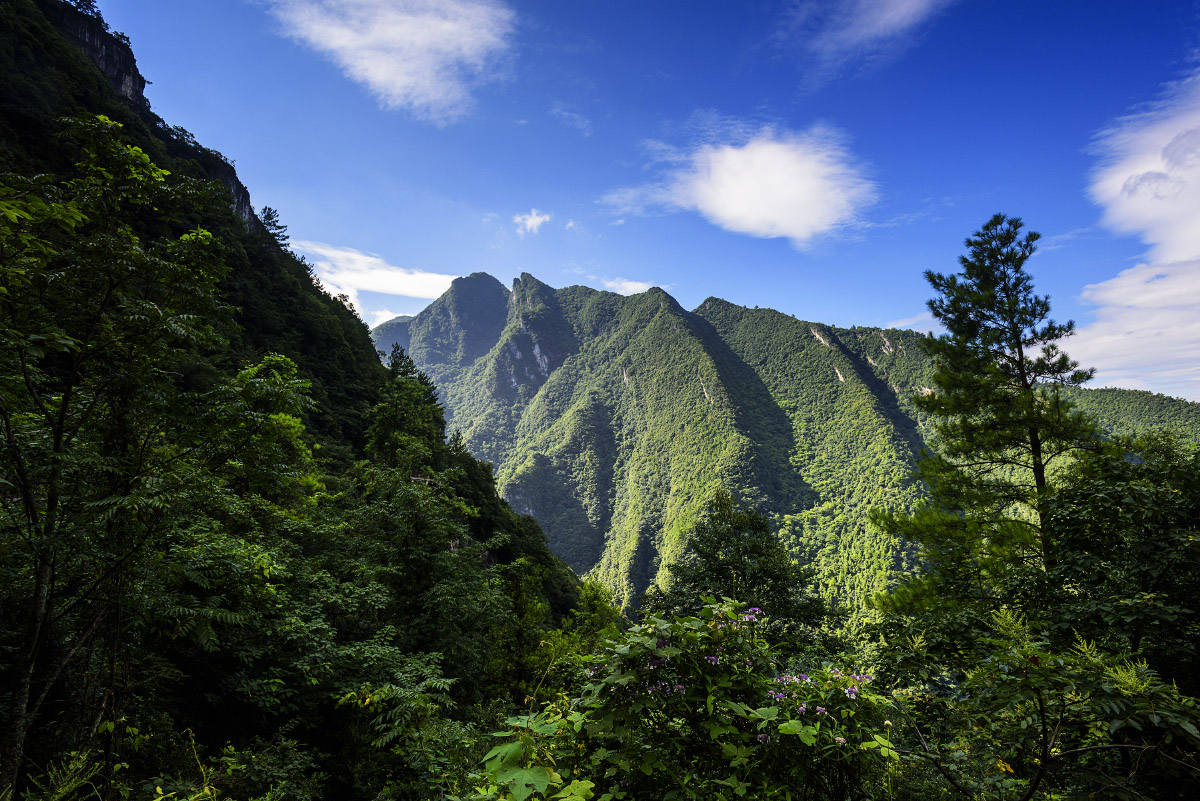 重庆热门旅游景点 武陵山大裂谷旅游攻略 低音号导游